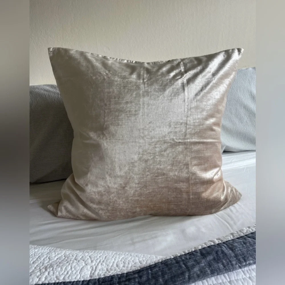 West Elm Bedding Satin Velvet Pillow Cover - 1 Euro in Champagne